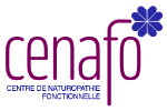logo cenafo